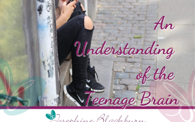 An Understanding of the Teenage Brain