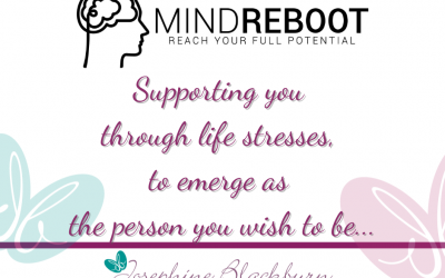 The Mind Reboot program