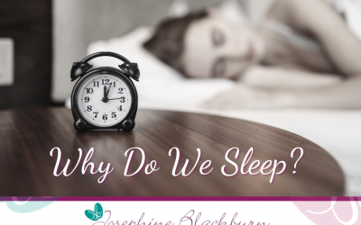 Why Do We Sleep?