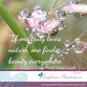 quote about beauty of nature