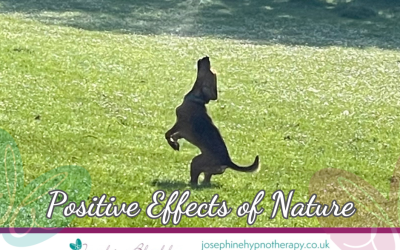 Positive Effects of Nature