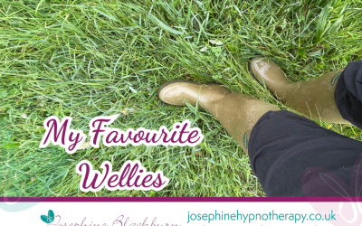 My Favourite Wellies