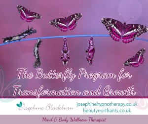 butterfly program for transformation and growth