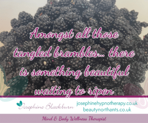 amongst those tangled brambles is something beautiful